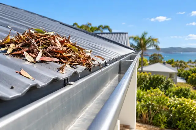 Close-up: roof & gutter cleans